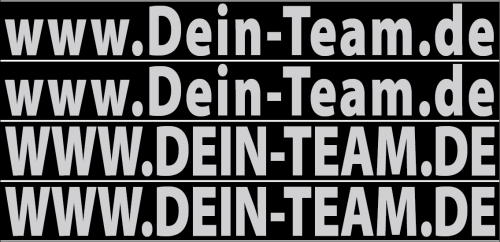 Aufkleber-Set "www.Dein-Team.de" silber XL
